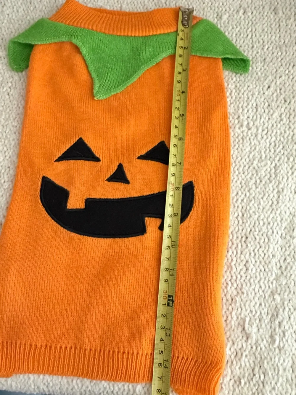 Pet Halloween creations gentle design photo